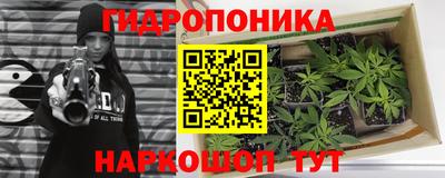 ALPHA PVP Малгобек